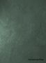 Terrastone-Fine-82-Waldgruen-colour-sample-named-190711