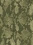 15409_03_House_of_Hackney_Cobra_1-WA-COB-DI-LAU-XXX-188139