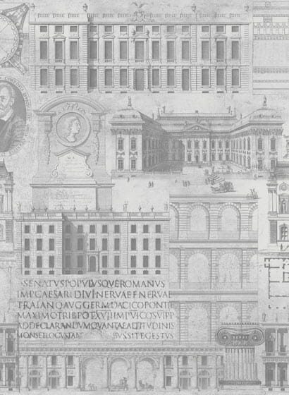 Tapete Vitruvius - WP20027