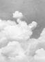 6680_1_Rebel-Walls_Cuddle-Clouds_R14013-81135