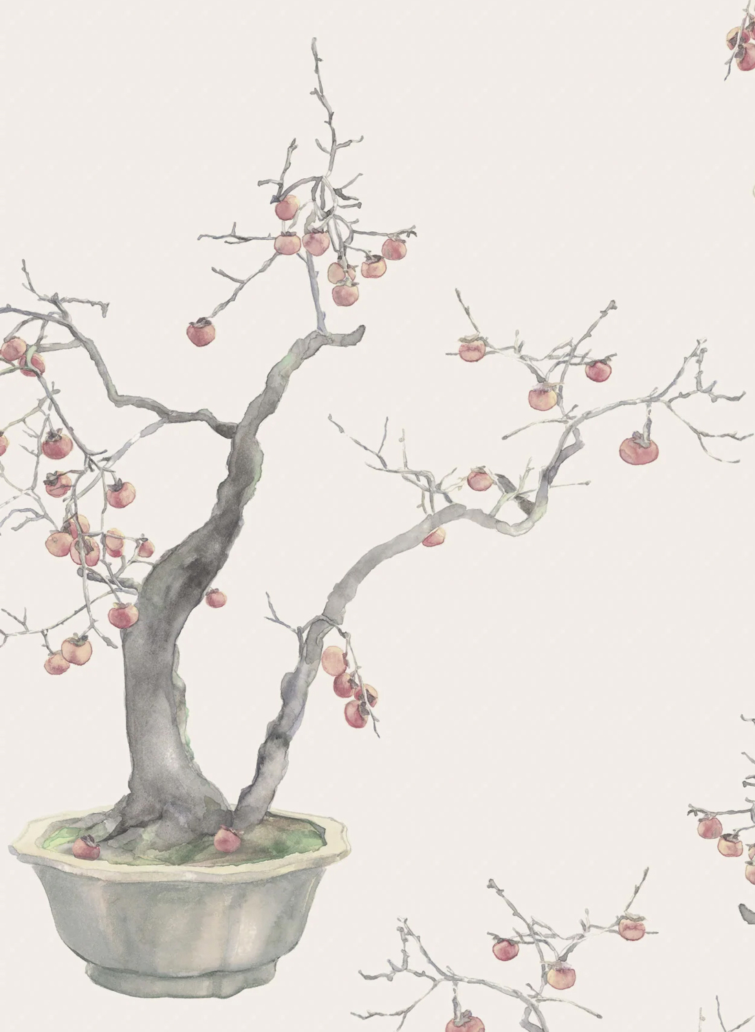 Tapete Kaki Persimmon - Silver