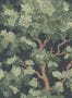 17349_01_Sandberg_Eken_S11027-203774