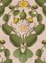 14961_01_Mindthegap_Nymphaea_WP20726-139787