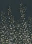 16260_3_Sandberg_Ivy_S10486-141588
