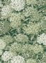 19157_04_Little_Greene_Rhododendron_Walk_0234RWPUCKZ-195438