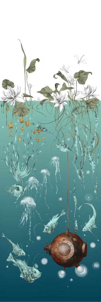 Carta da parati Nautilus/ Méduses/ Nénuphars - Turquoise - Nautilus droit - Turquoise