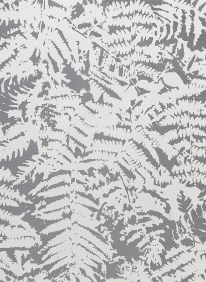Tapete Fern - Clearing