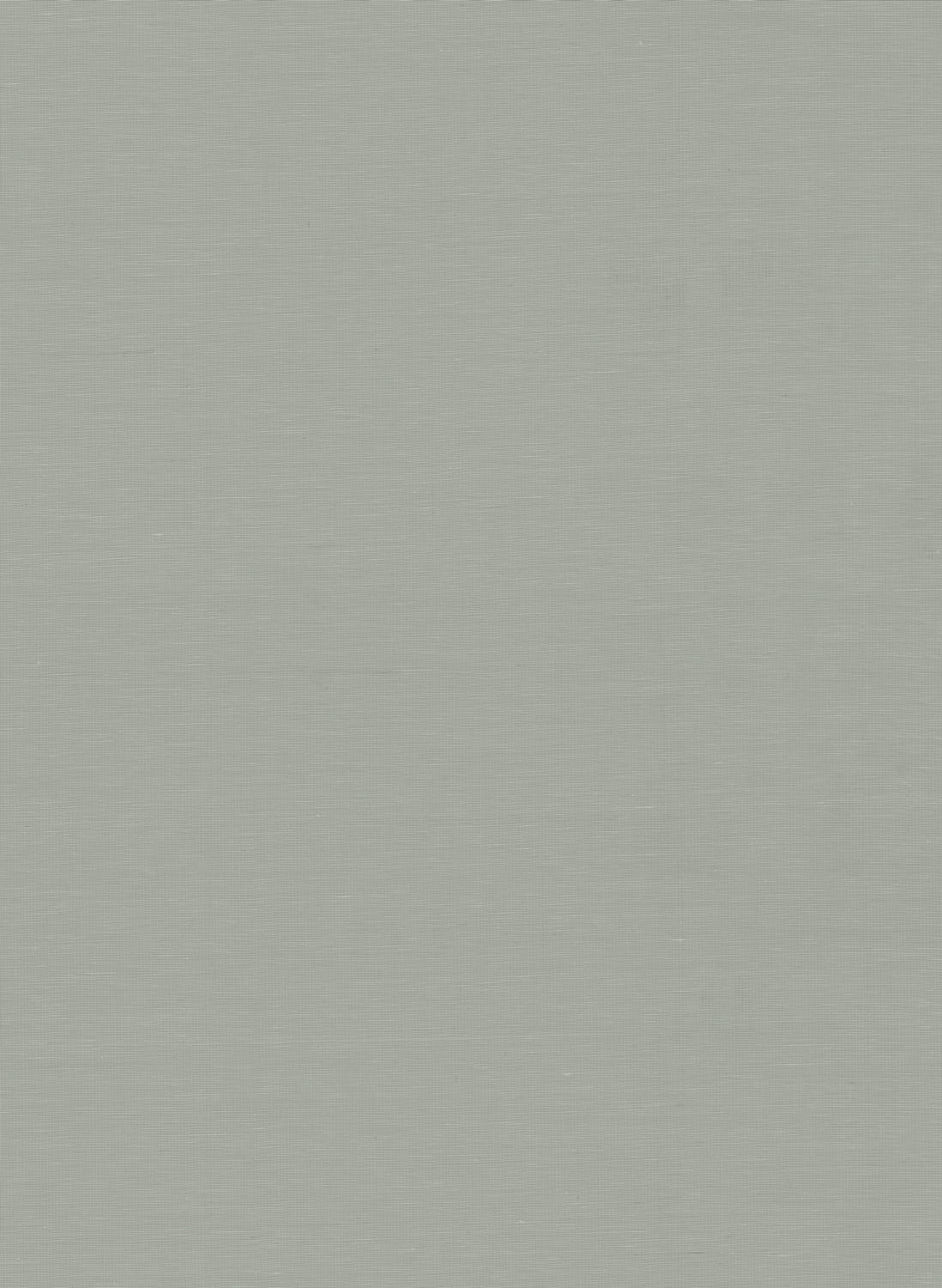 Tapete Plain Oberon - 9080
