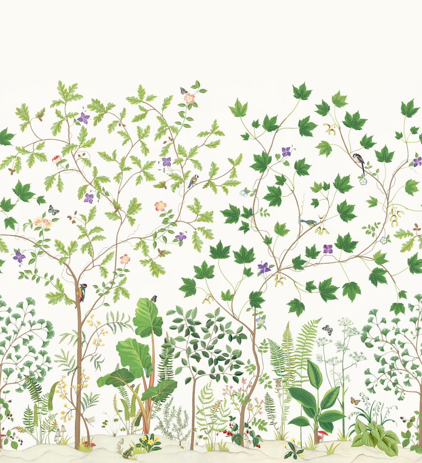 Wandbild Sycamore and Oak - Botanical Green