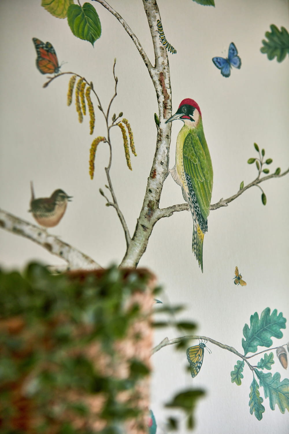 Tapete Woodland Chorus - Botanical/ Multi