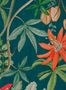 17705_02_NLXL_Passiflora_UON-12-164221