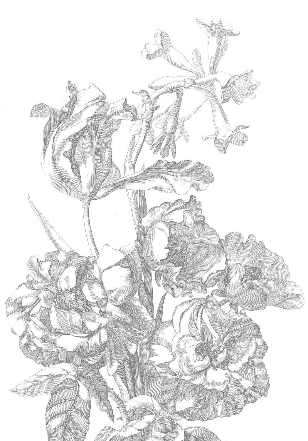 Wandbild Engraved Flowers 4 - M