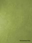 Terrastone-Fine-89-Spring-Green-colour-sample-named-190725
