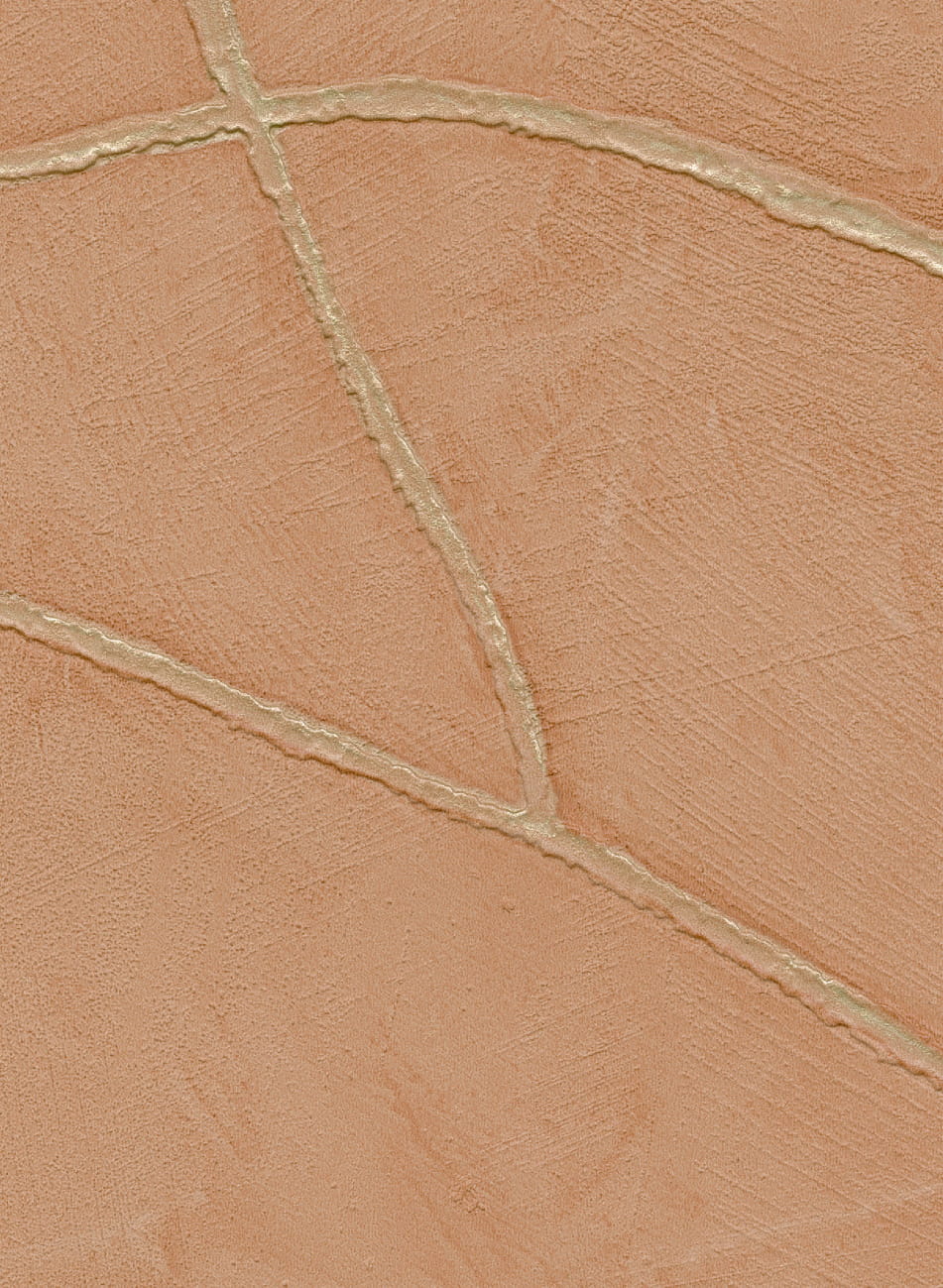 Tapete Kintsugi - VP 1004 51