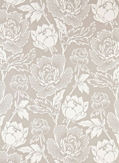 Tapete Peony - Elephant's Breath/ Pointing