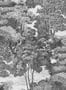 8598-1-Rebel-Walls-Tapete-Saint-Sebastian-R17531-70598
