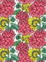 14756_2_Jannelli_and_Volpi_Love_Geranei_25506-131198