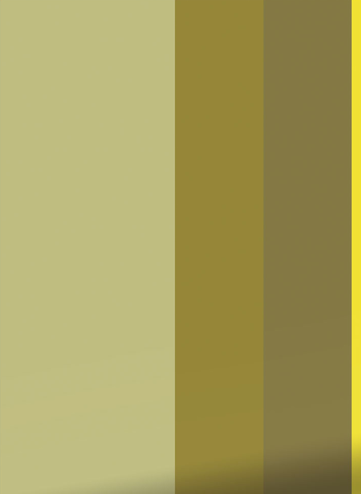 Tapete Bold Stripes 2 Uyterlinde - FU-008