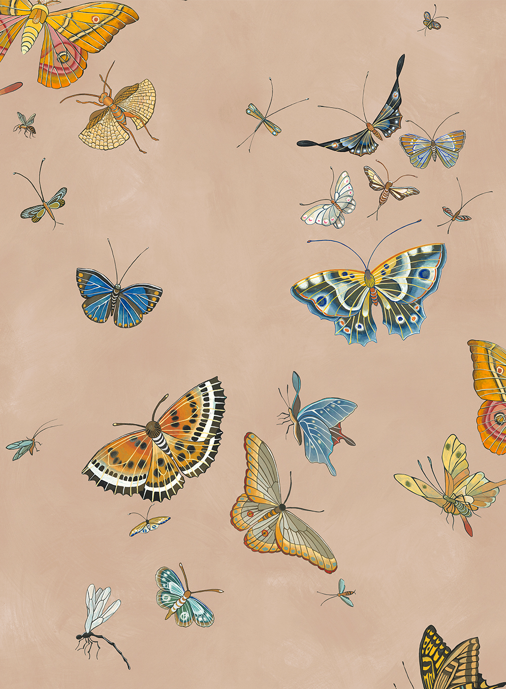 Papier peint Butterflies - Plaster Pink