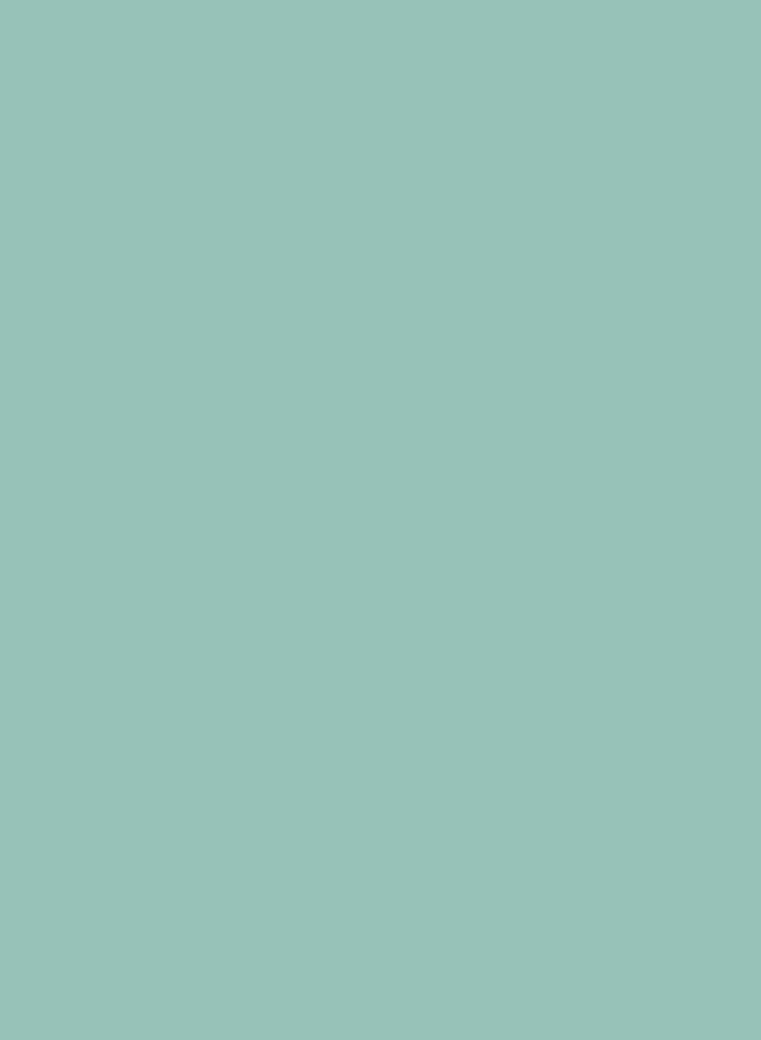 Intelligent All Surface Primer - Pall Mall 309