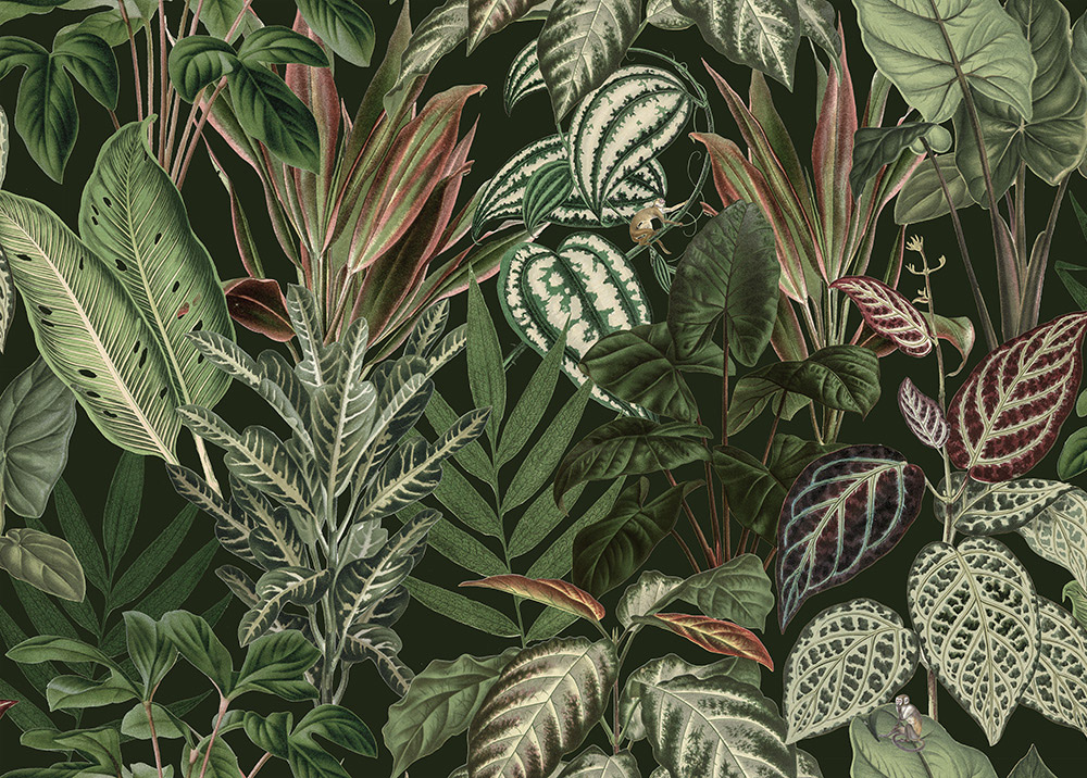 Wandbild Mischievous Monkeys - Lush