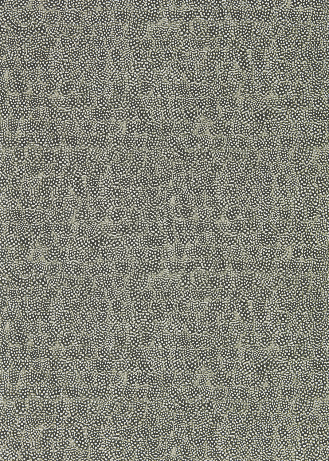Tapete Guinea - Charcoal