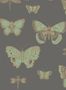 1990_6_cole_and_son_butterflies_dragonflies_103-15067-23736