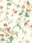 1880_1_cole_and_son_archive_anthology_sweet_pea-23354