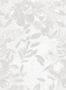 14848_7_Jannelli_and_Volpi_Lucy_40131-131848