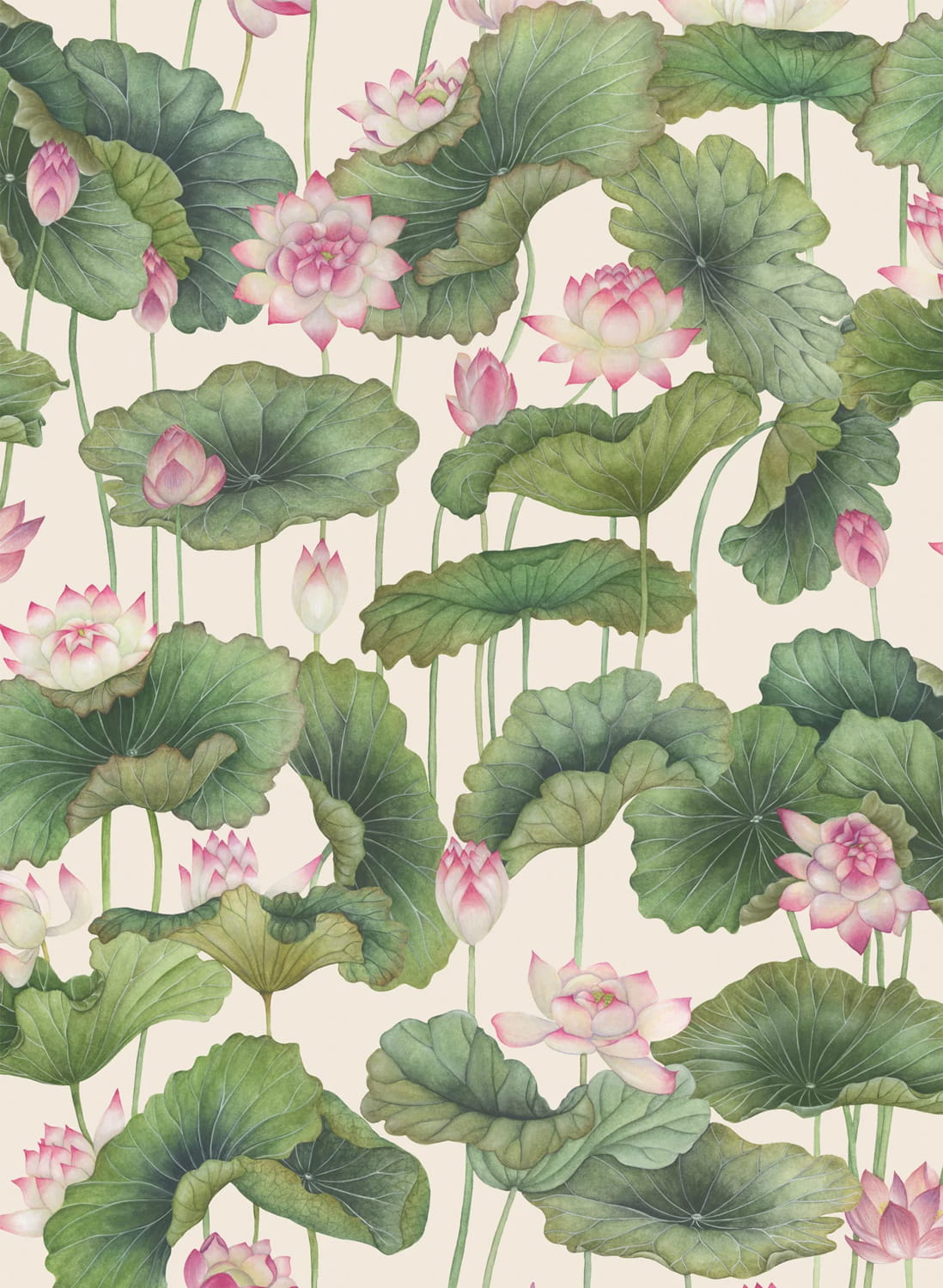 Tapete Lily Lotus - Original
