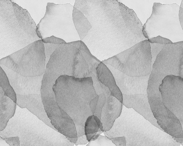 Wandbild Petals - Graphite