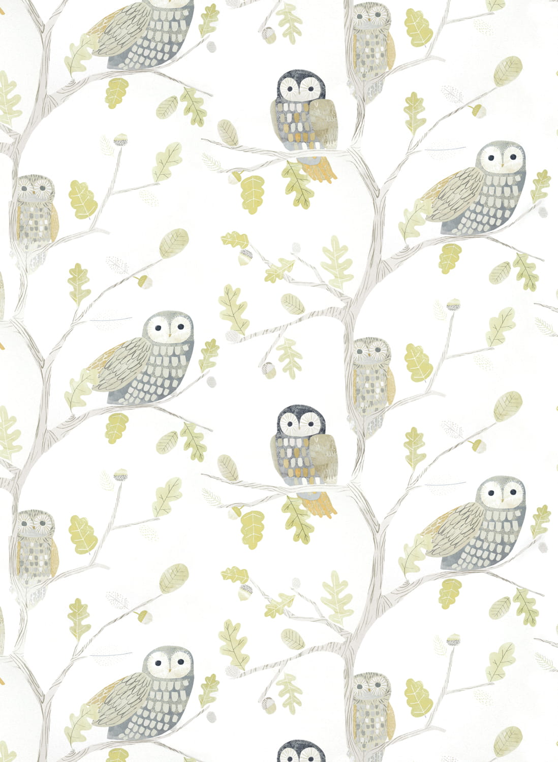 Tapete Little Owls - Kiwi