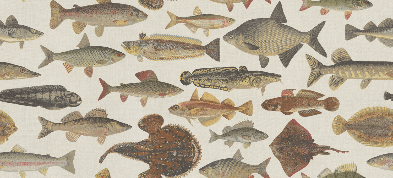 Wandbild Scandinavian Fishes - Beige