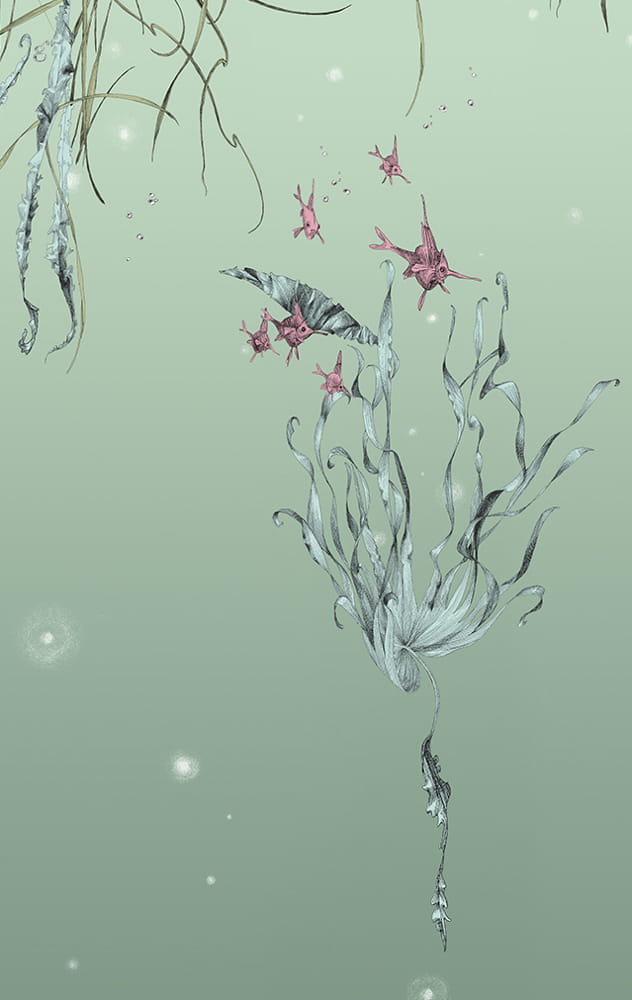 Tapete Nautilus/ Méduses/ Nénuphars - Nénuphars gauche - Aqua