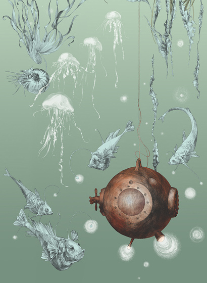 Tapete Nautilus/ Méduses/ Nénuphars - Nautilus droit - Aqua