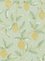 5280_3_morris_lemon-tree_216673-55297