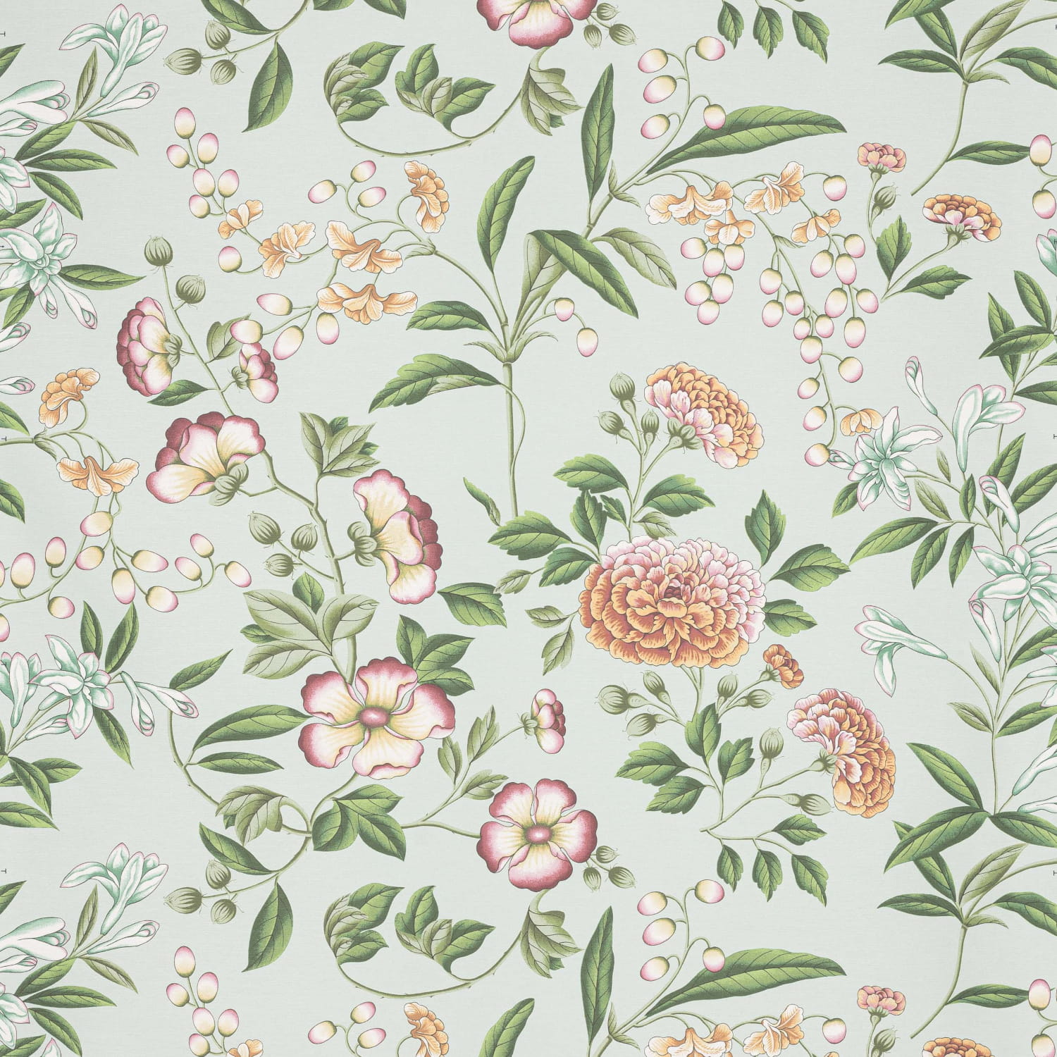 Tapete Coromandel - Celadon