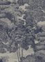 8598-2-Rebel-Walls-Tapete-Saint-Sebastian-R17532-70601