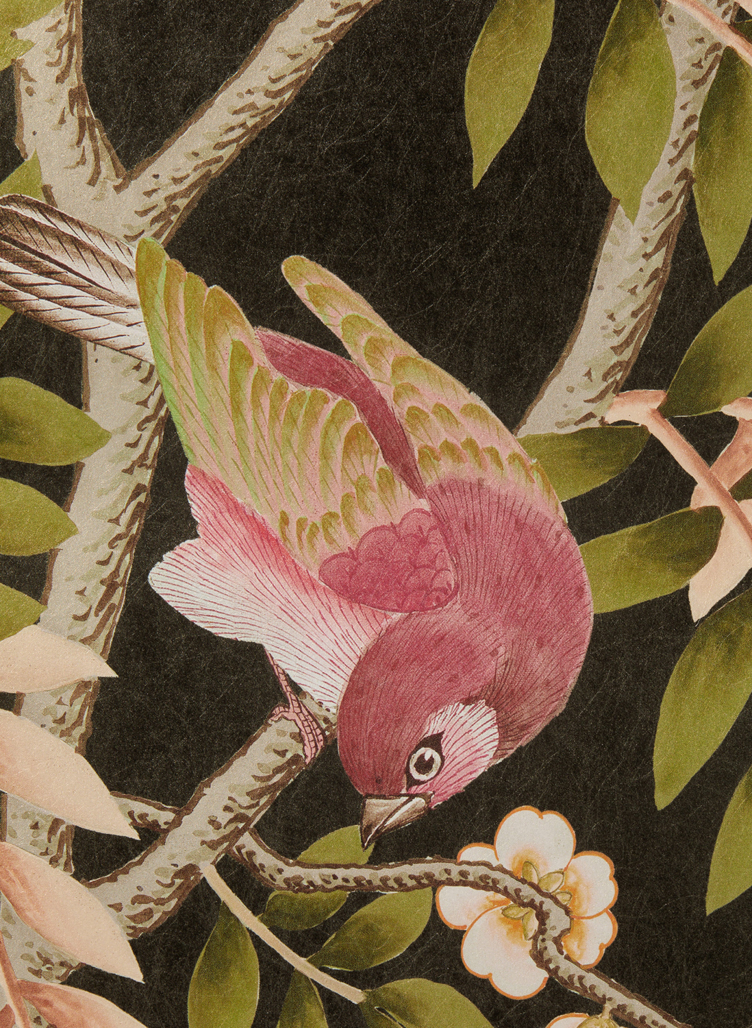Tapete Silk Tree - Red Lac