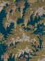 4652_7_isidore_leroy_frondaisons_paon_6241707-57983