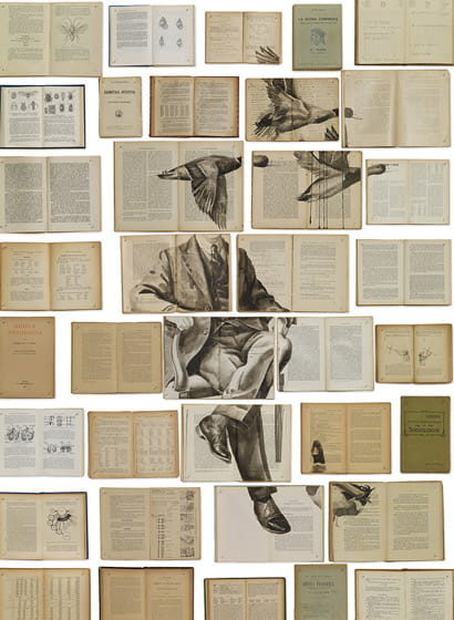 Tapete EKA-01 Bibliotheca - EKA-01