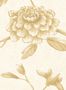 17637_05_Lewis_and_Wood_Jasper_Peony_LW13392R-158042