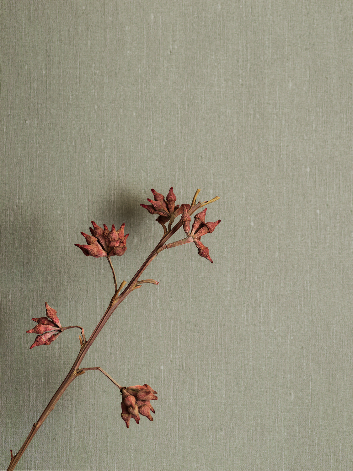 Tapete Linen - Soft Olive