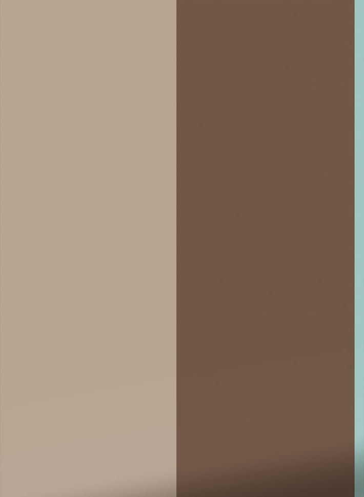 Tapete Bold Stripes 1 Uyterlinde - FU-005