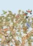 16627_02_Cole_and_Son_Tree_of_Life_129-1003-180356