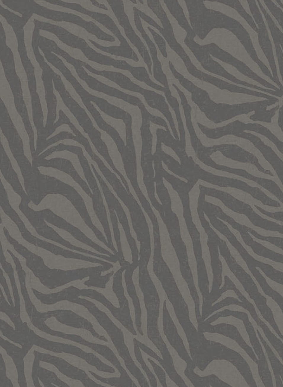 Wandbild Zebra - Black