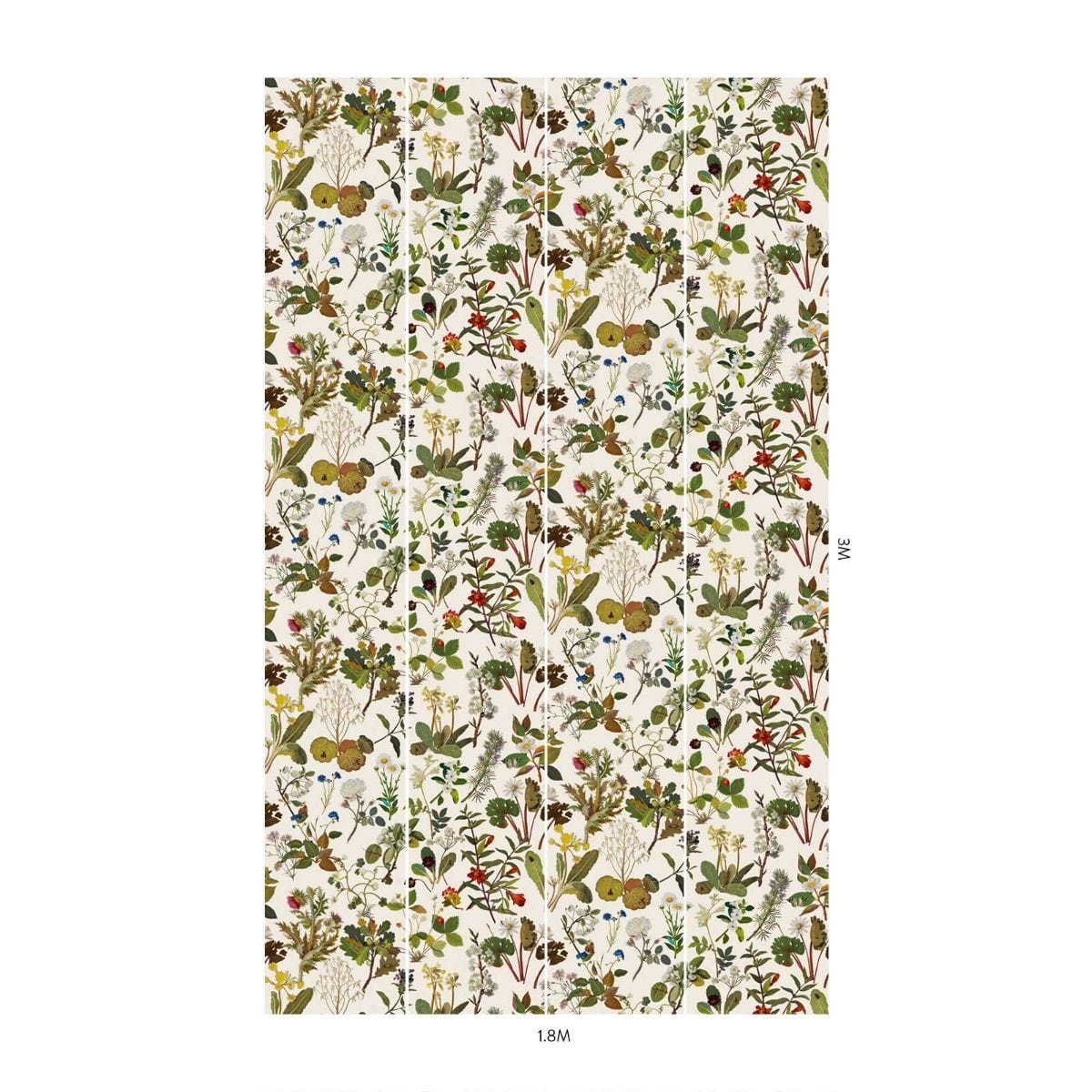 Carta da parati Herbarium - Ecru