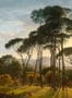 17698_NLXL_Umbrella_Pines_RKS-01_-164295