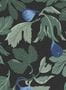 19125_01_Boråstapeter_Studio_Petra_Börner_Figs_9829W-196922