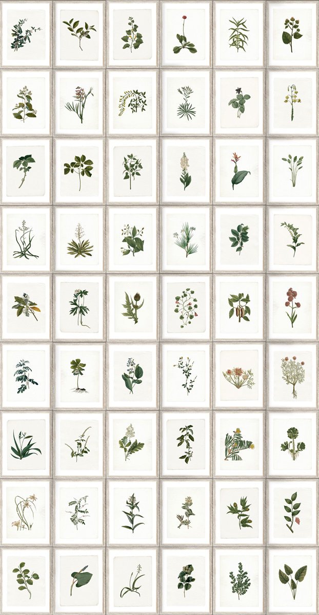 Tapete Botany - WP20153